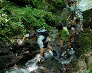  Camicrema por el arroyo 
